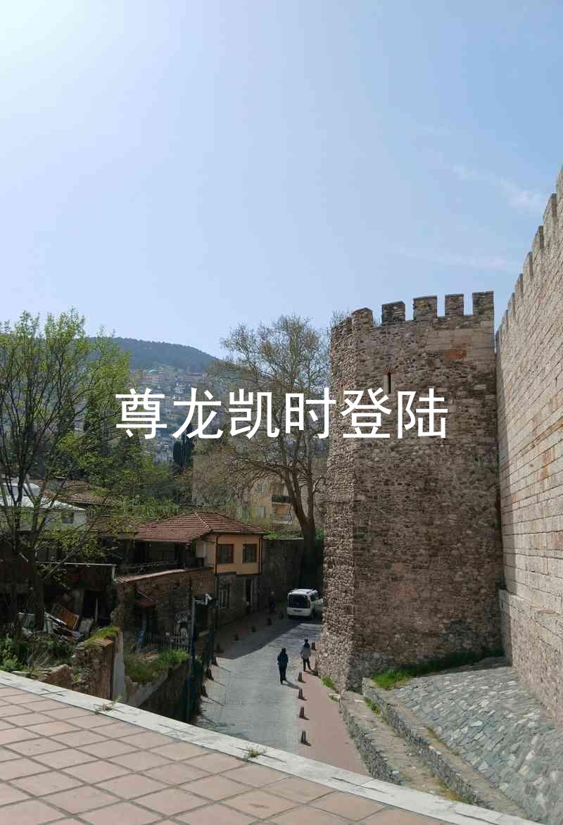尊龙凯时登陆