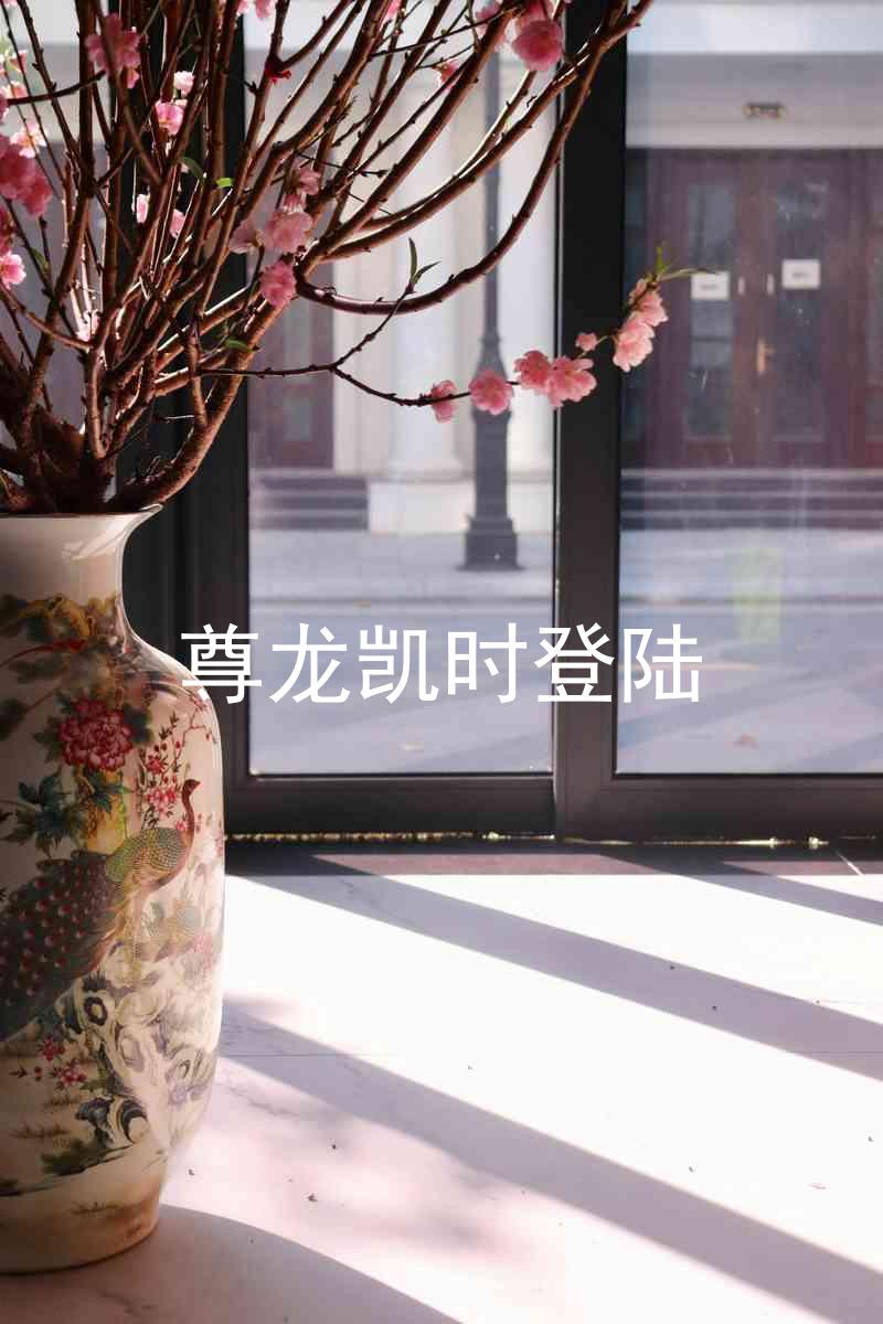 尊龙凯时登陆