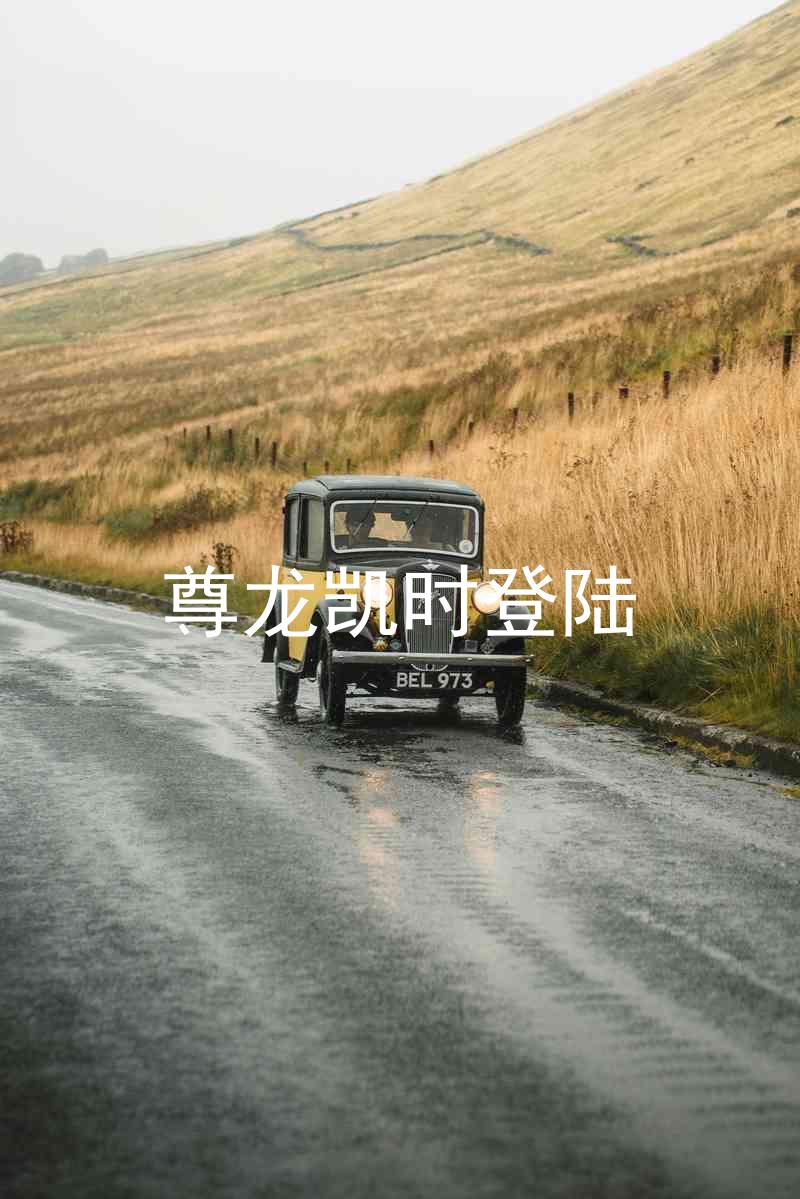 尊龙凯时登陆