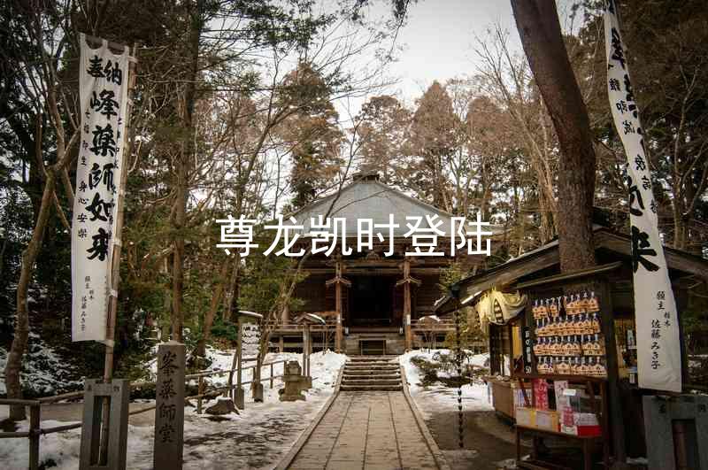 尊龙凯时登陆